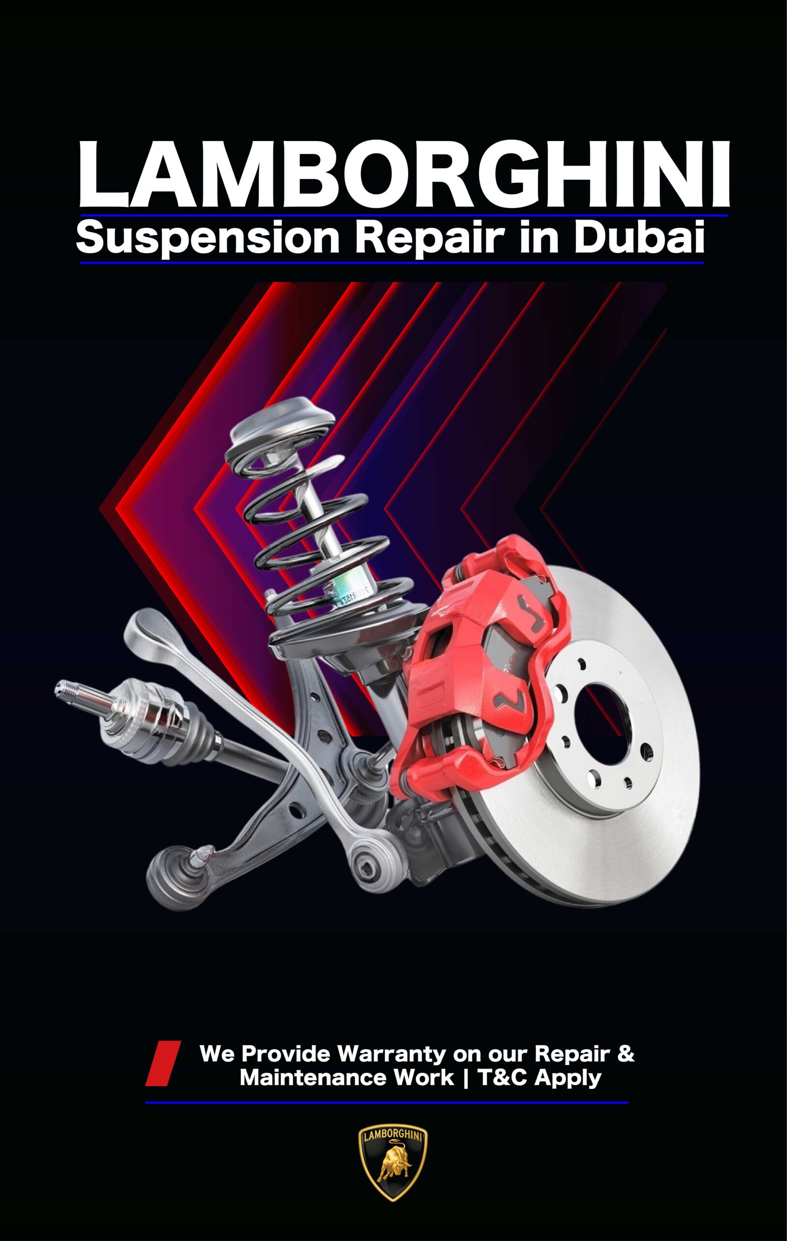 Lamborghini Suspension Replacement